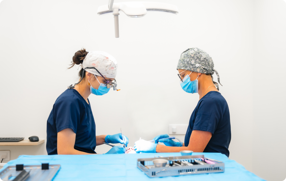 Implant près de Grenoble